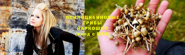 соль курить ск Богородицк