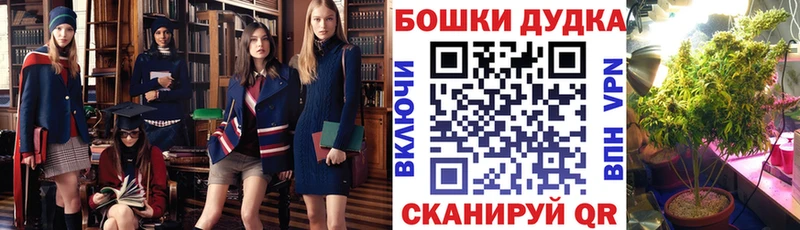 как найти закладки  darknet Telegram  Шишки марихуана VHQ  Партизанск  блэк спрут ссылка 